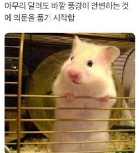 스크린샷 2024-09-29 오전 1.50.52.png